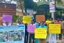 கால்நடைகளைத் திருடும் கும்பலை கட்டுப்படுத்தக் கோரி வேலணையில் பண்ணையாளர்கள் போராட்டம்!