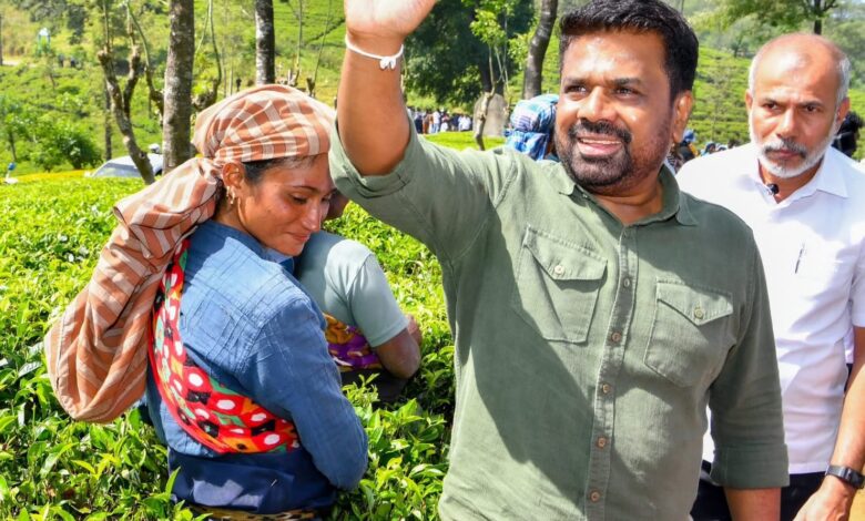 நானுஓயா-ரதல்ல திடீர் விஜயம்: தோட்டத் தொழிலாளர்களை நேரில் சந்தித்த ஜனாதிபதி