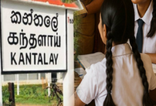 உணவு ஒவ்வாமையால் 16 மாணவிகள் வைத்தியசாலையில் அனுமதி!