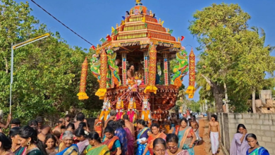 சாவகச்சேரி வாரிவனம் முத்துமாரி அம்மன் சித்திரத் தேர் வெள்ளோட்டம்!