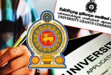 பல்கலைக்கழக மாணவர் பதிவு இன்று முதல்!