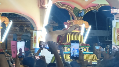 தொண்டமனாறு செல்வ சந்நிதி முருகன் கொடியேற்றம்…!